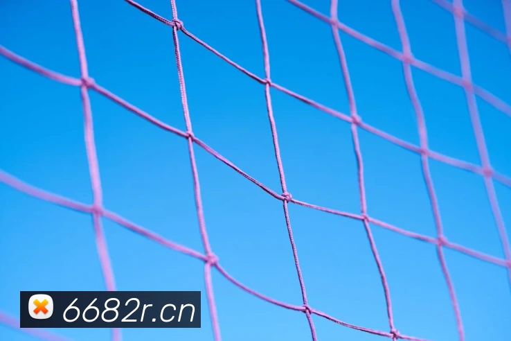 kaiyun官方登录入口平台生态图